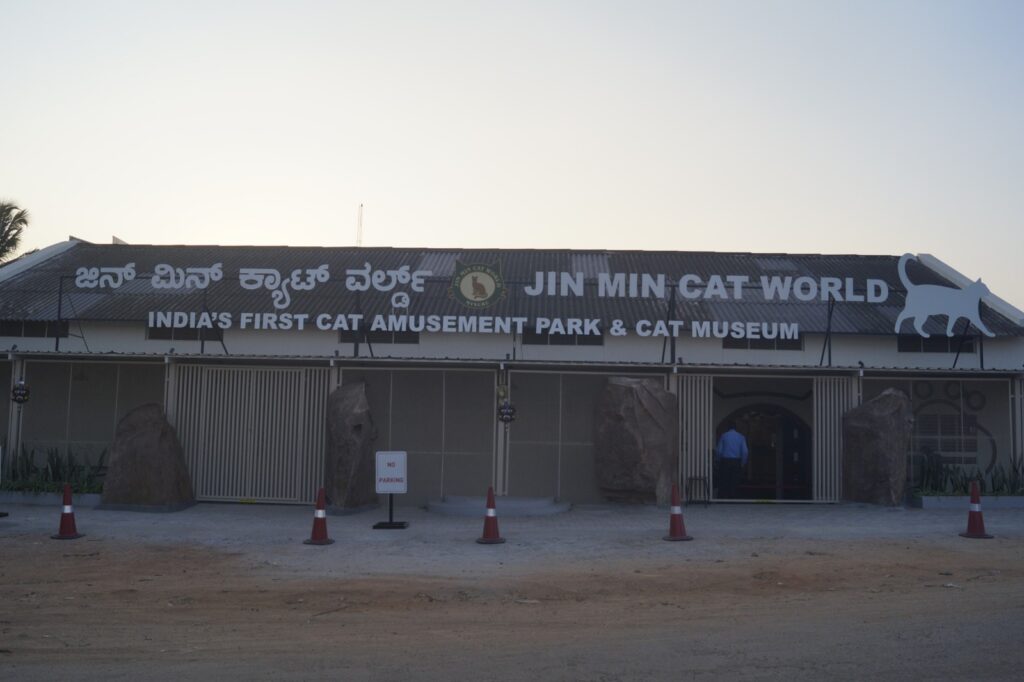 Front view – Jin Min Cat World