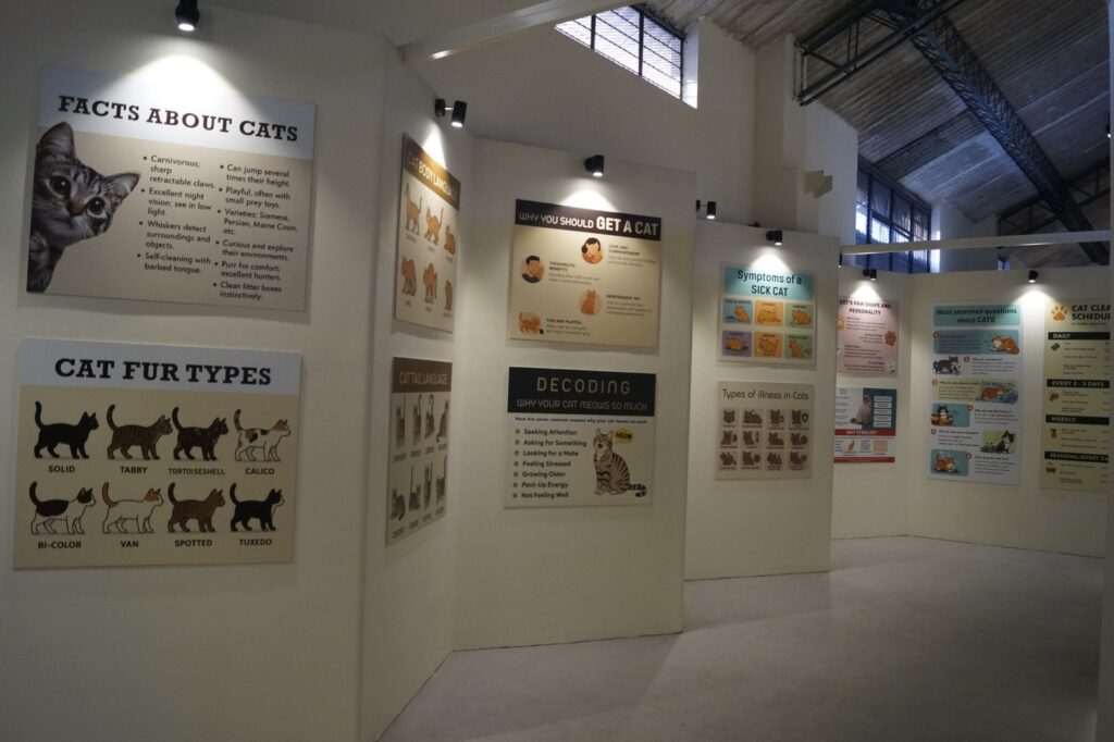 Educational boards about cats